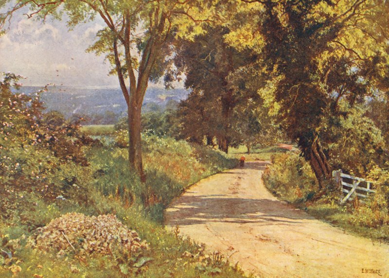  av Edward Wilkins Waite