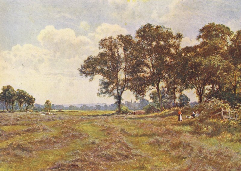 av Edward Wilkins Waite