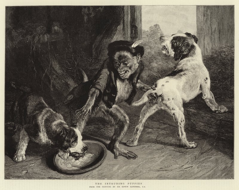 De inntrengende valpene av Edwin Landseer