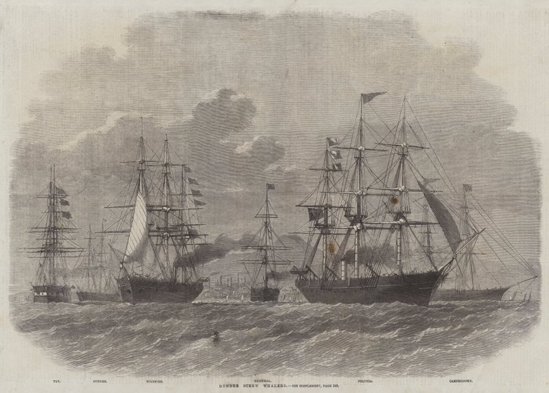Dundee Screw Whalers av Edwin Weedon