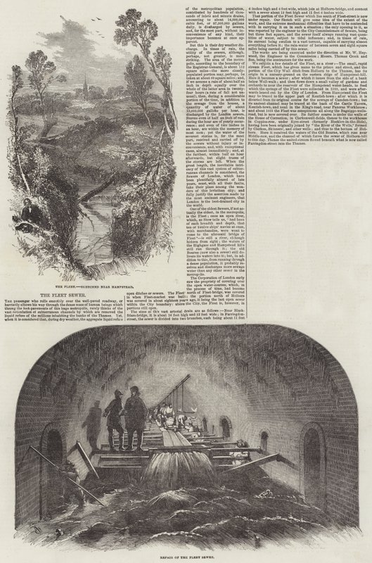 Flåtens kloakk av Edwin Weedon