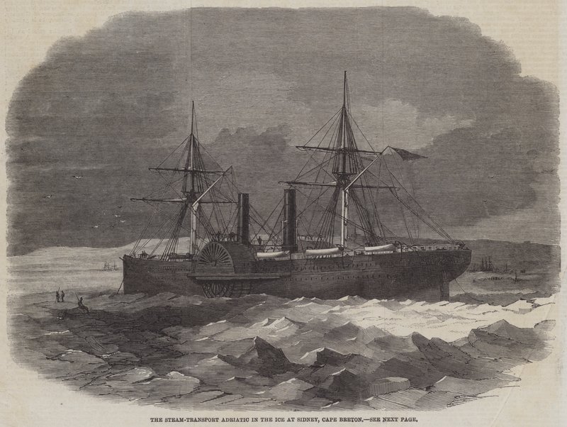 Damptransport Adriaterhavet i isen ved Sidney, Cape Breton av Edwin Weedon