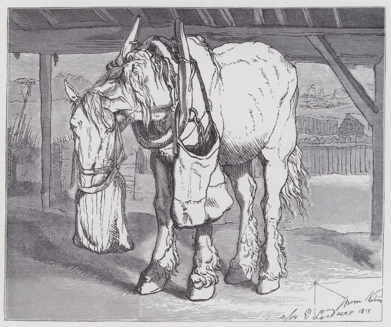 En kjerrehest av Edwin (after) Landseer