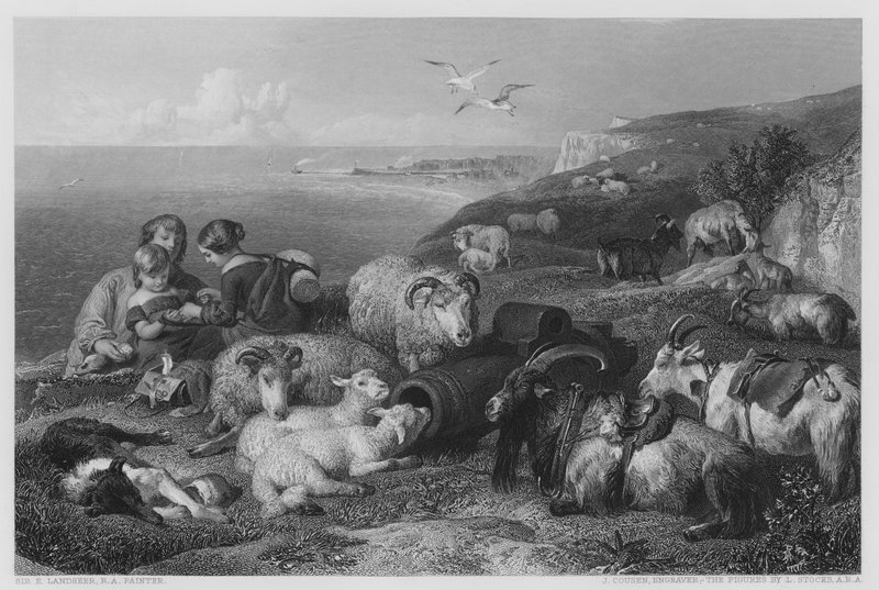 Fred, fra bildet i Vernon Gallery (gravering) av Edwin (after) Landseer