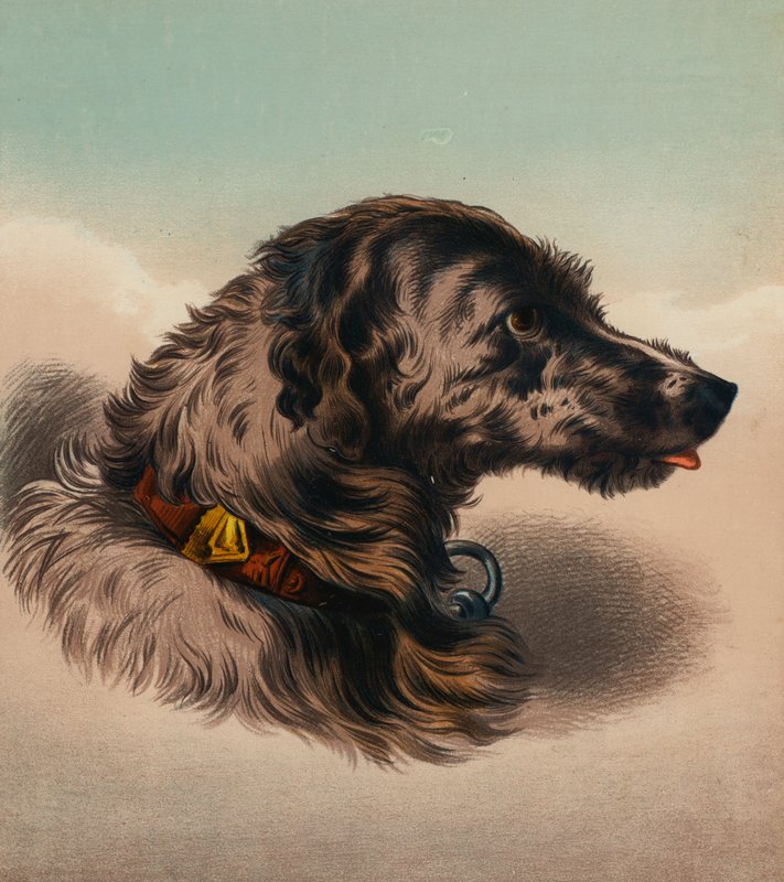  av Edwin (after) Landseer