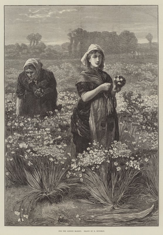 For London Market (gravering) av Edwin Buckman