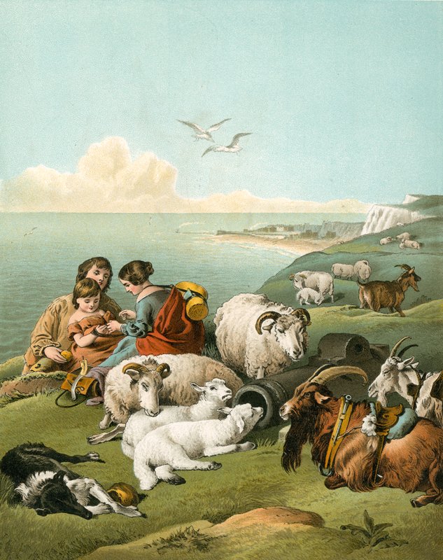 Barn som leker med sauer og geiter på hvite klipper av Edwin Landseer
