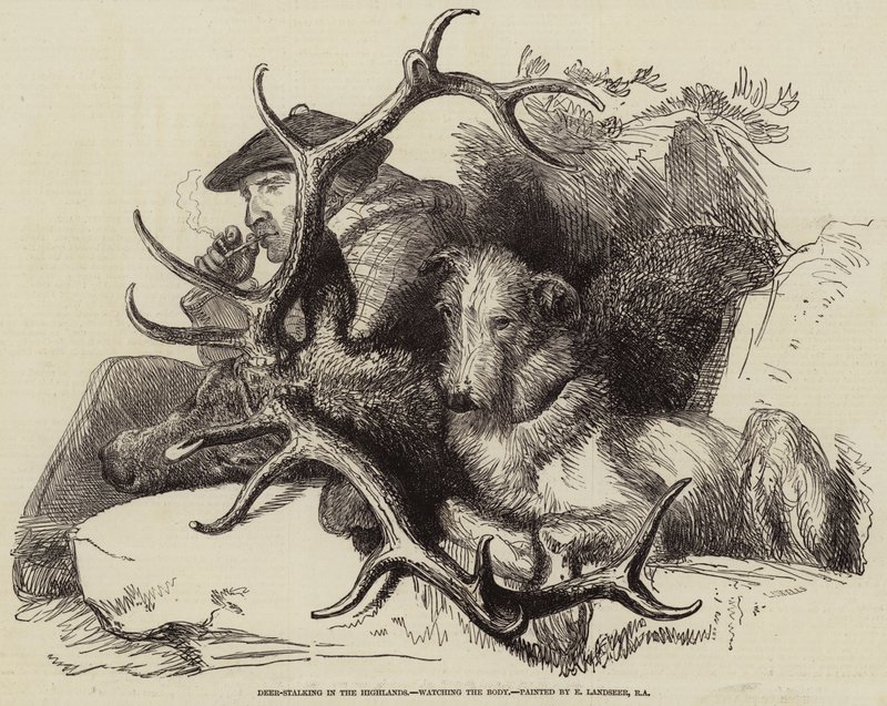 Hjort-forfølger i høylandet, ser på kroppen av Edwin Landseer