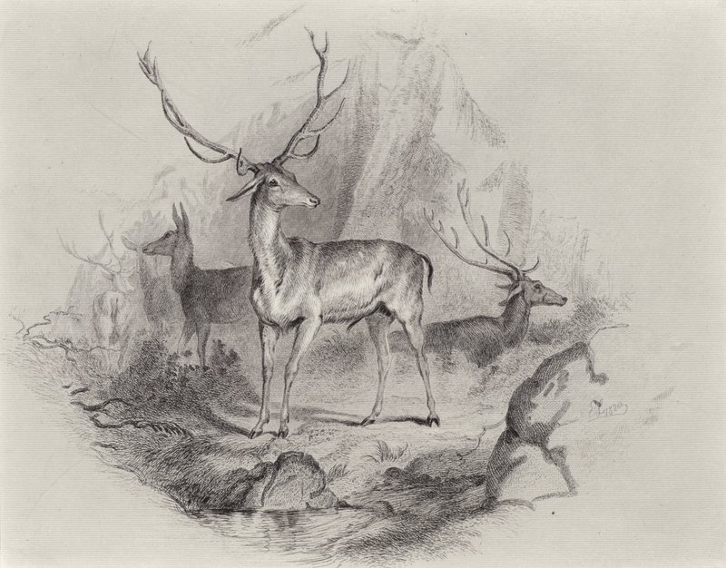 I Glen av Edwin Landseer