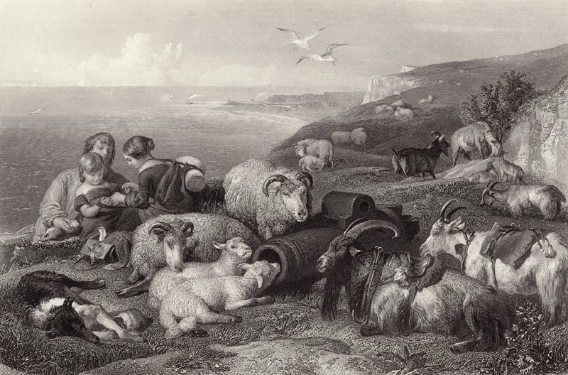 Fred av Edwin Landseer