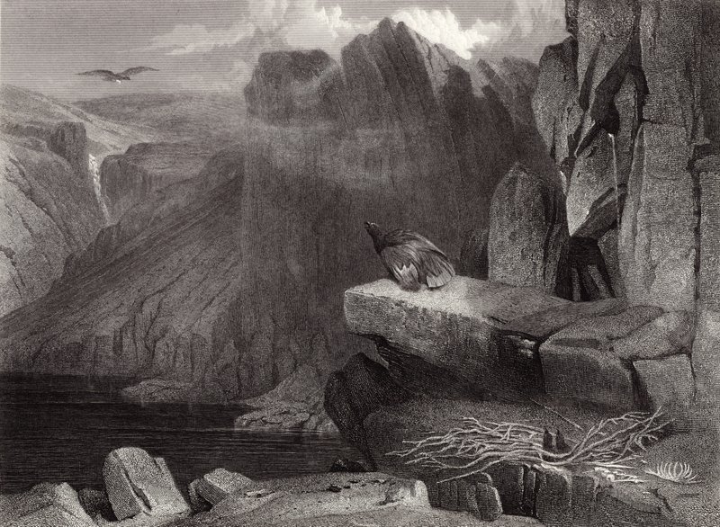 Ørneredet av Edwin Landseer