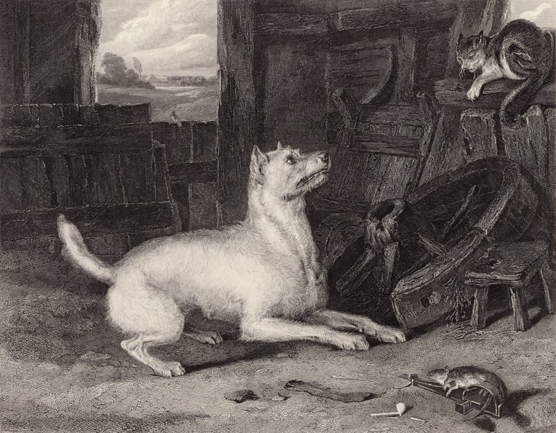 Inntrengeren av Edwin Landseer