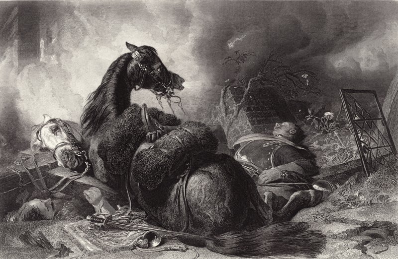 Krig av Edwin Landseer