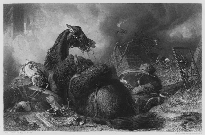 War, fra bildet i Vernon Gallery av Edwin Landseer