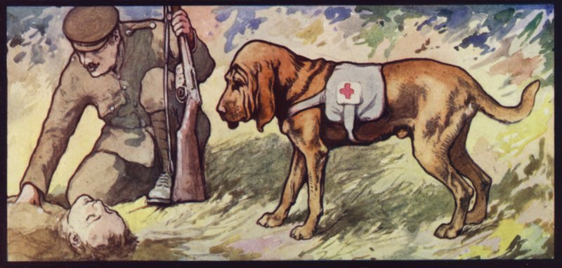 Ambulanse Bloodhound av Edwin Noble