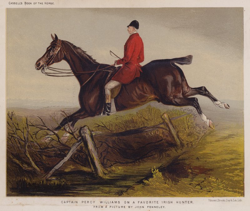 Kaptein Percy Williams på en favoritt irsk jeger (farge litho) av Edwin Noble