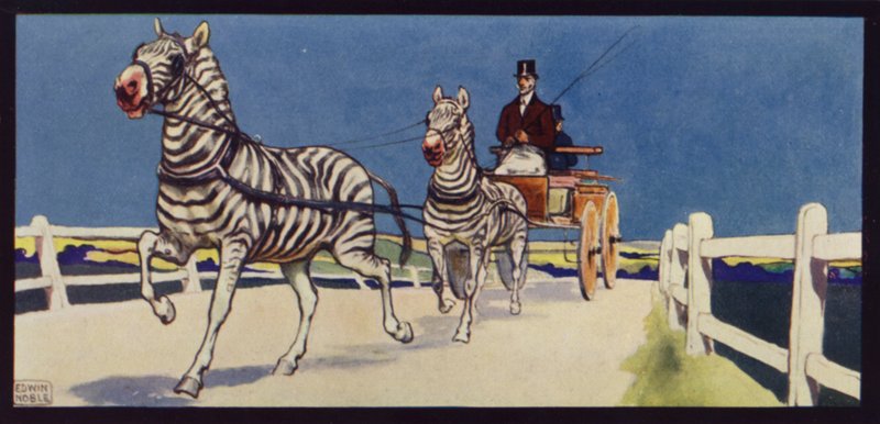 Driving Zebras, Tandem (farge litho) av Edwin Noble