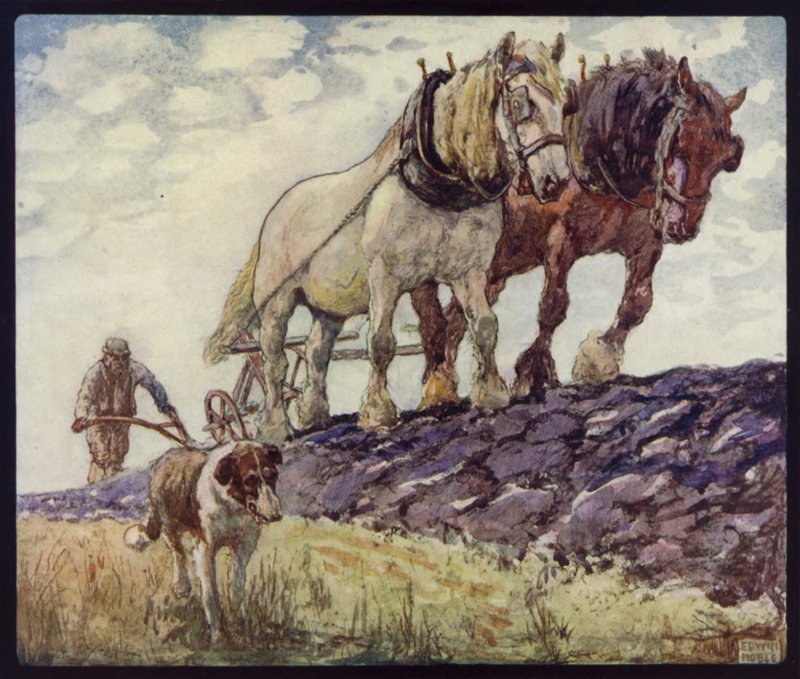 Engelsk vogn-hester pløying (farge litho) av Edwin Noble