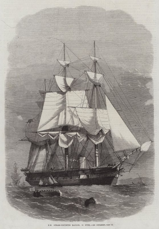 HM Steam-Corvette Racoon, 22 kanoner av Edwin Weedon