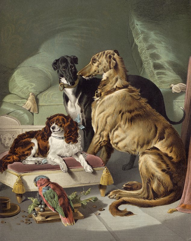 Dash, Hector, Nero og Lory av Edwin after Landseer