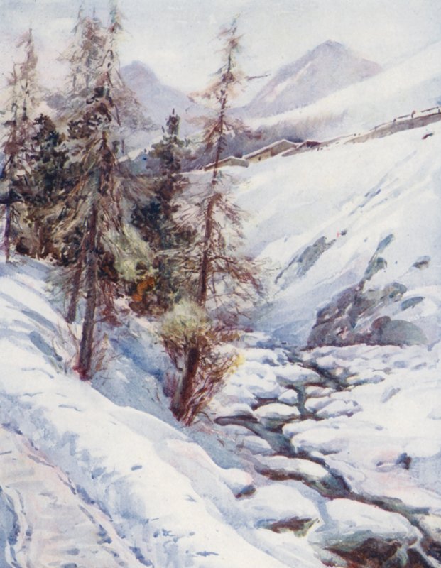  av Effie Jardine