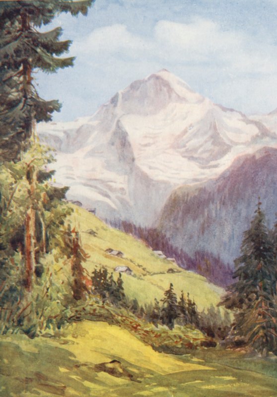  av Effie Jardine