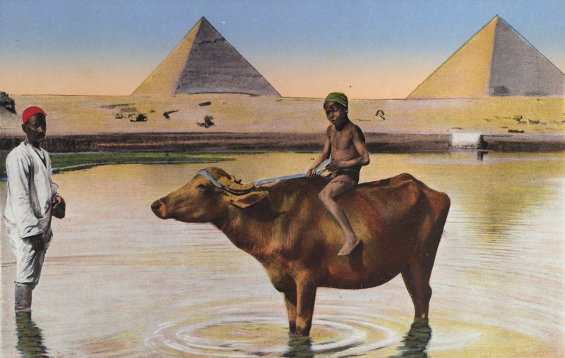  av Egyptian Photographer