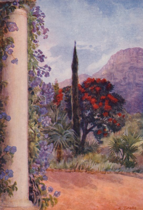  av Elizabeth Drake