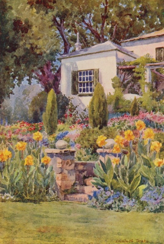 Gule cannaer ved trappene, Bishopscourt, nær Cape Town (fargelitografi) av Elizabeth Drake