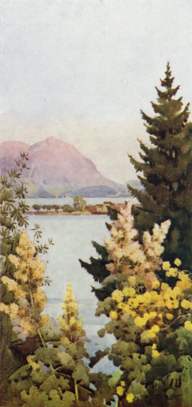 A Garden (farge litho) av Ella Du Cane