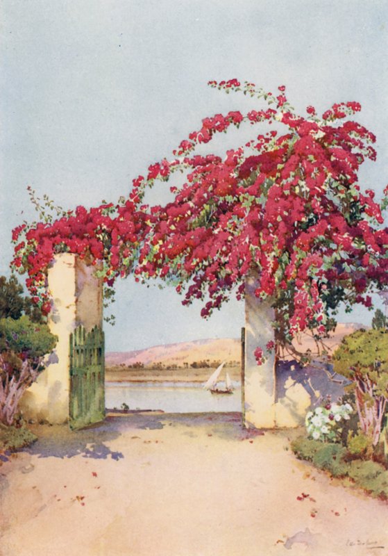 En hage i Luxor (farge litho) av Ella Du Cane
