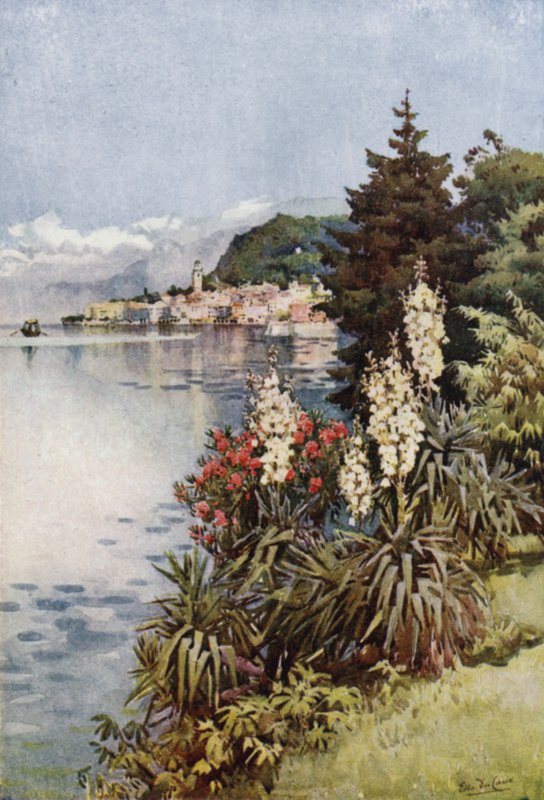 En gruppe Yuccas, Villa Melzi, Comosjøen (farge litho) av Ella Du Cane