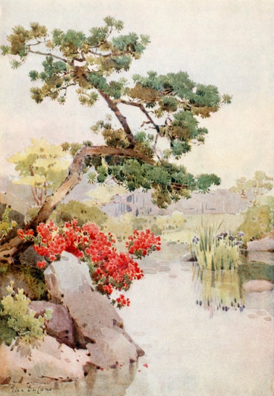 Azalea og furutre (farge litho) av Ella Du Cane