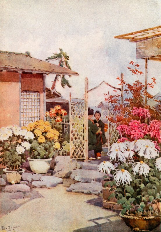 Krysantemum, Kyoto (farge litho) av Ella Du Cane