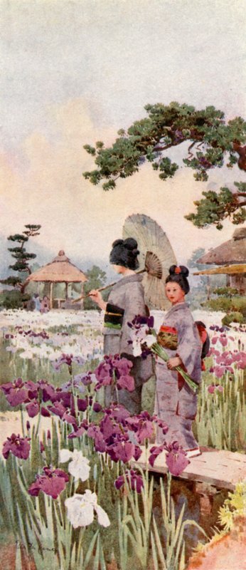 Iris, Horikiri (farge litho) av Ella Du Cane