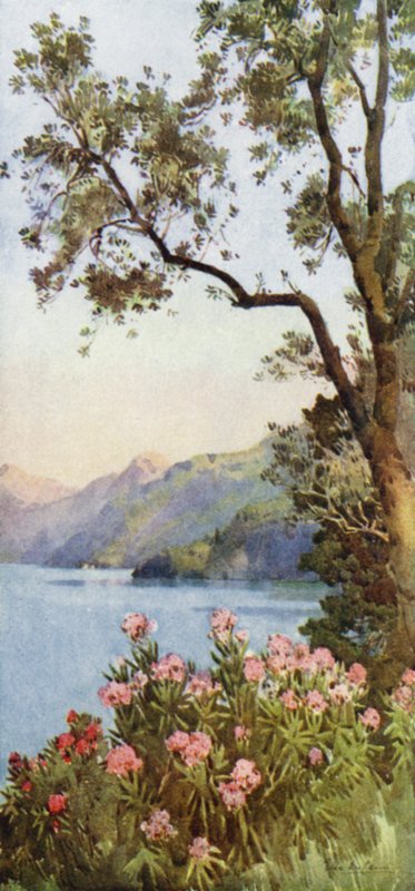 Lake Lecco, Comosjøen (farge litho) av Ella Du Cane