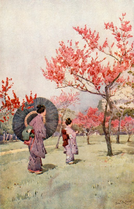Peach Blossom (farge litho) av Ella Du Cane