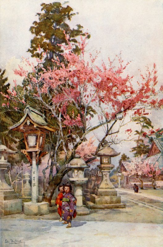 Plommeblomst og lykter (farge litho) av Ella Du Cane