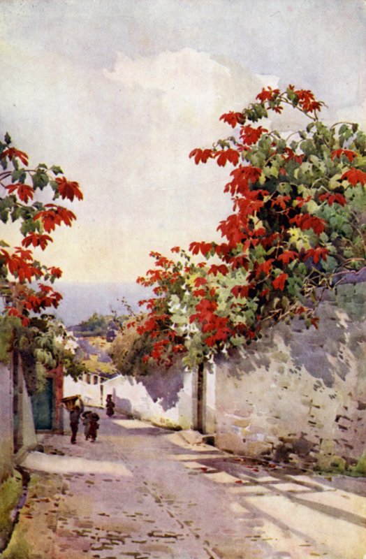 Julestjerne på Mount Road (farge litho) av Ella Du Cane