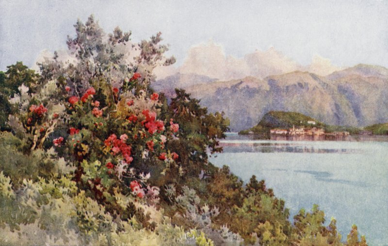 Roser, Villa Carlotta, Comosjøen (farge litho) av Ella Du Cane