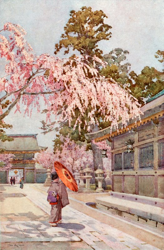 The Rooping Cherry (farge litho) av Ella Du Cane