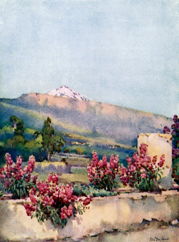 The Peak, fra Villa Orotava (farge litho) av Ella Du Cane