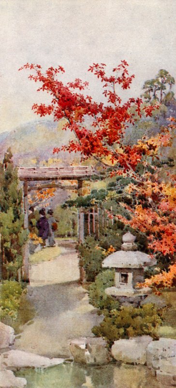 The Scarlet Maple (farge litho) av Ella Du Cane