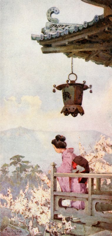 Se på plommeblomstene (farge litho) av Ella Du Cane
