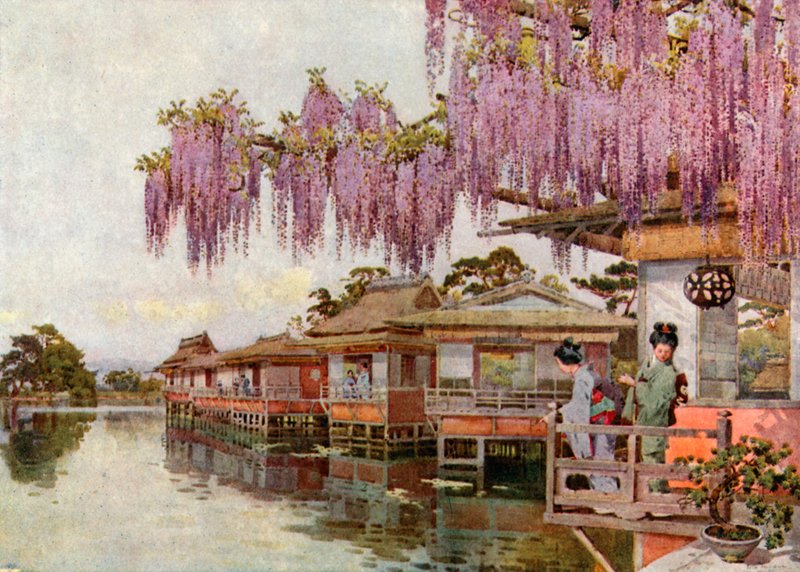 Wistaria, Nagaoka (fargebilder) av Ella Du Cane