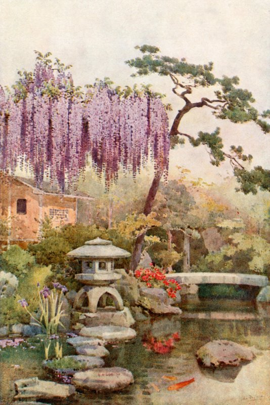 Wistaria i en Kyoto-hage (farge litho) av Ella Du Cane