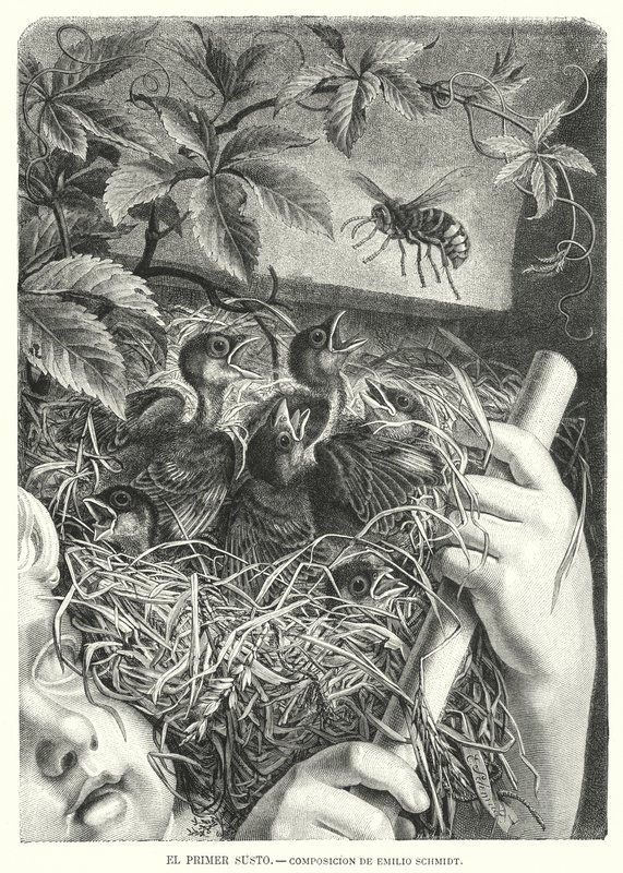 The First Scare (litho) av Emil (after) Schmidt