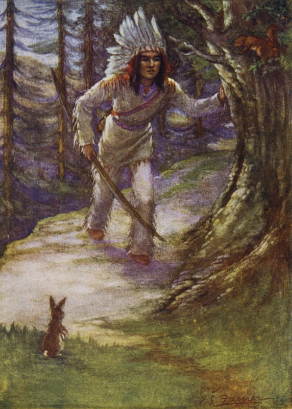 Ikke skyt oss, Hiawatha av Emily Farmer