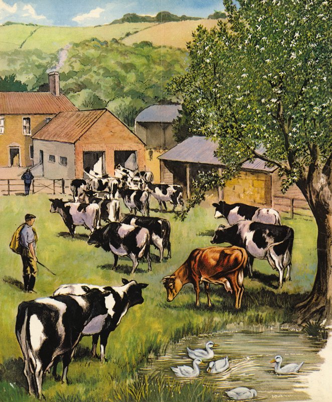 Meierigård, England, 1960-tallet av English School