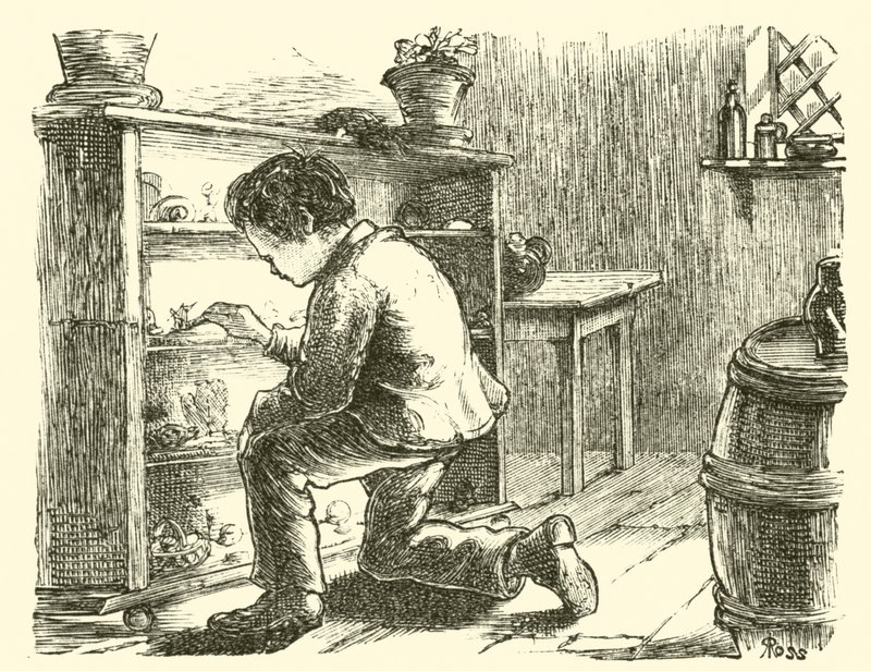 Edward Forbes, arrangerer sitt miniatyrmuseum av English School